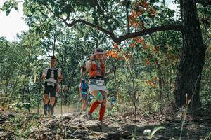 BIB: 
                            <button type="button" onclick="openModal(26112860)" class="btn btn-primary btn-sm float-right btn-popup" data-toggle="modal" data-target=".modal-high-quality">
                        <i class="fas fa-shopping-cart"></i> Add to Cart
                    </button>
                                            <button type="button" onclick="isThisMe(26112860, true)" class="btn btn-success btn-sm float-right btn-popup btn-isme hidden" data-toggle="tooltip" data-placement="bottom" title="นี่คือรูปของคุณใช่ไหม คลิกที่นี่เพื่อเอาเข้าอัลบั้ม">
                        <i class="fas fa-plus"></i> Add to album
                    </button>
                    <button type="button" onclick="isThisMe(26112860, false)" class="btn btn-warning btn-sm float-right btn-popup btn-isnotme hidden">
                        <i class="fas fa-ban"></i> Remove from album
                    </button>